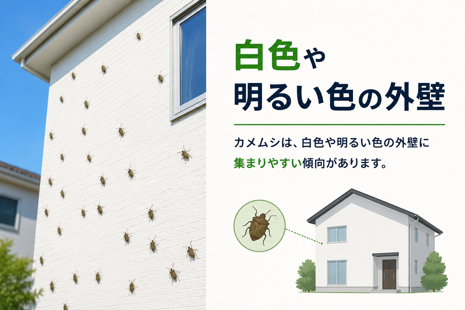 白色や明るい色の外壁
