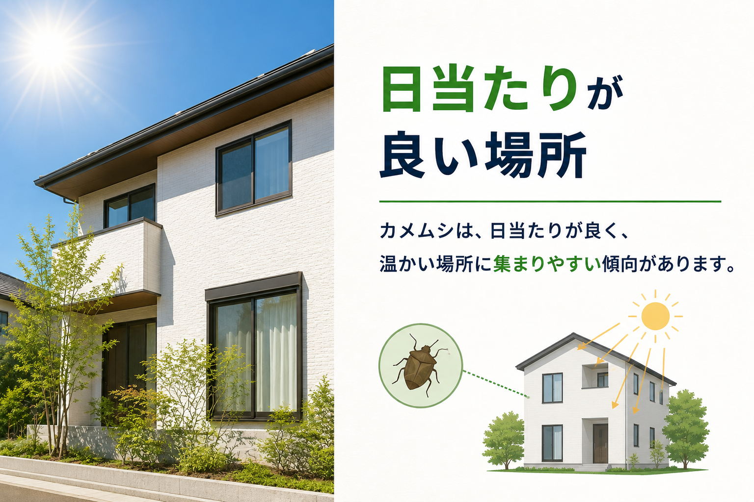 日当たりが良い場所